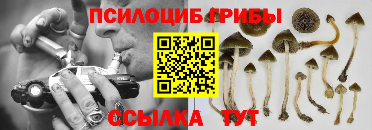 Псилоцибиновые грибы мухоморы  наркотики  Керчь  Вход с VPN 